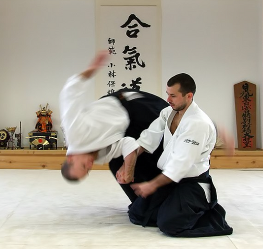 Aikido: The art of harmony