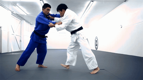 Enhancing Your BJJ Journey: A Guide to Supplementation for Fighters