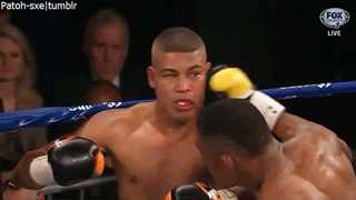 Boxing in short: The sweet science of smashing faces